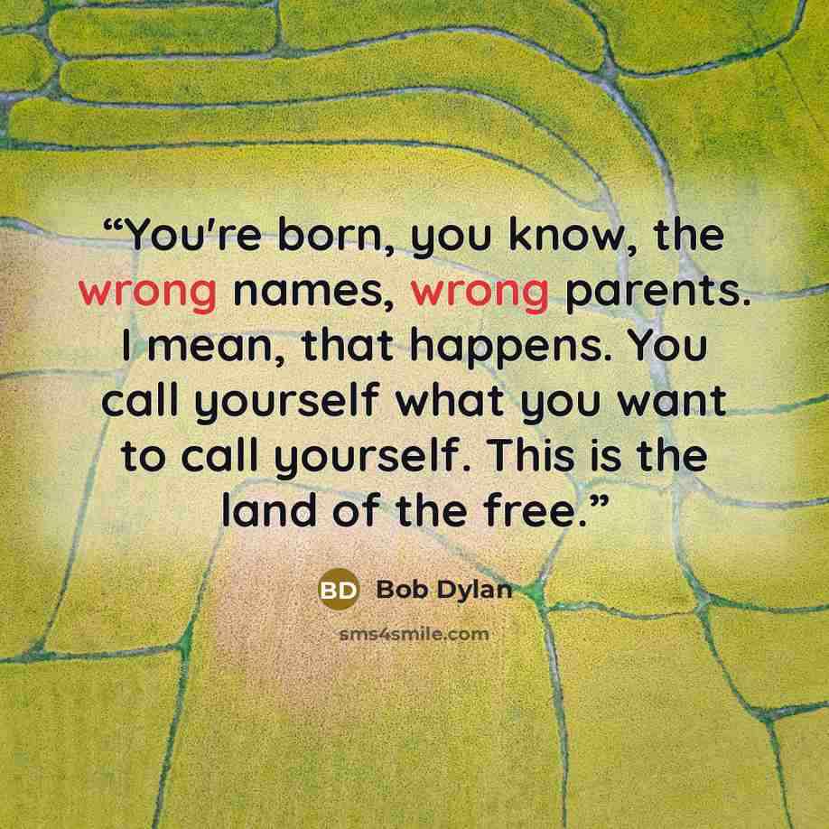 “You're born, you know, the wrong names, wrong parents. I mean, that happens. You call yourself what you want to call yourself. This is the land of the free.” quote by Bob Dylan