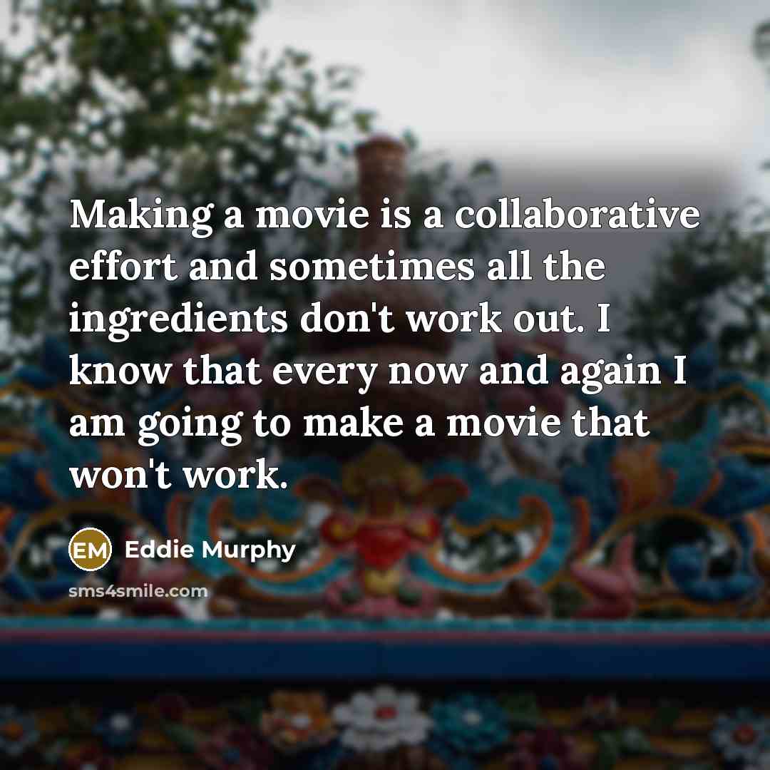 “Making a movie is a collaborative effort and sometimes all the ingredients don't work out. I know that every now and again I am going to make a movie that won't work.” quote by Eddie Murphy