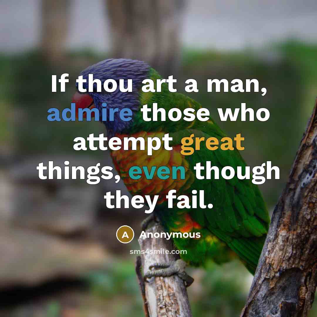 “If thou art a man, admire those who attempt great things, even though they fail.” quote by Anonymous