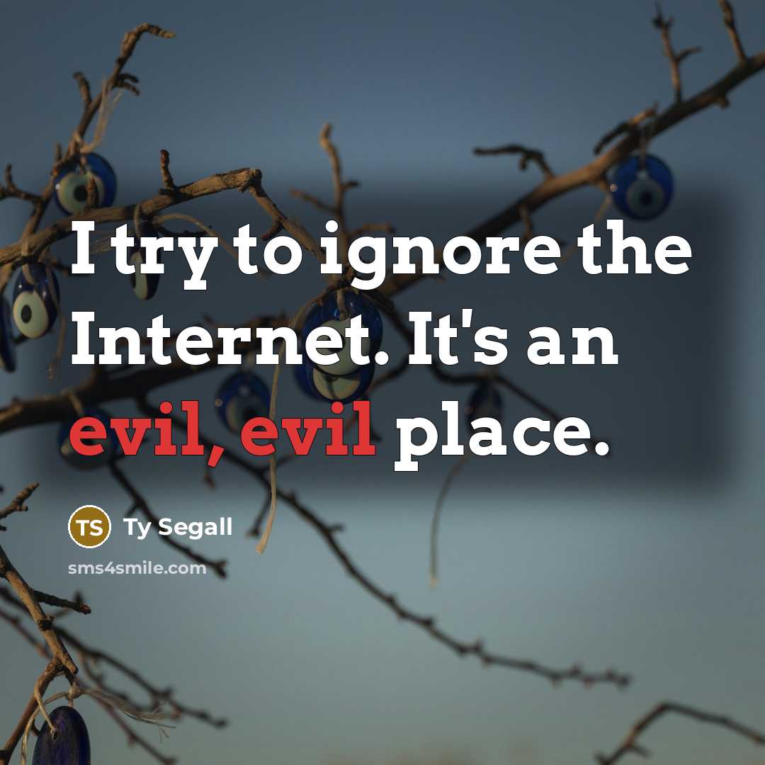 “I try to ignore the Internet. It's an evil, evil place.” quote by Ty Segall