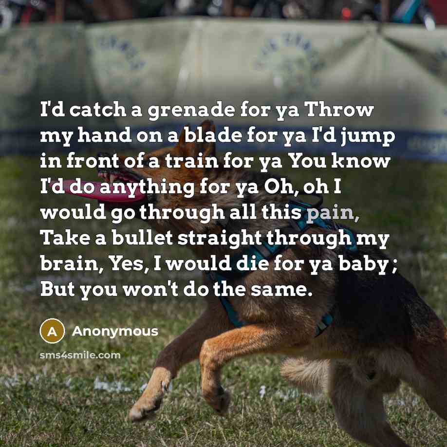 “I'd catch a grenade for ya Throw my hand on a blade for ya I'd jump in front of a train for ya You know I'd do anything for ya Oh, oh I would go through all this pain, Take a bullet straight through my brain, Yes, I would die for ya baby ; But you won't do the same.” quote by Anonymous
