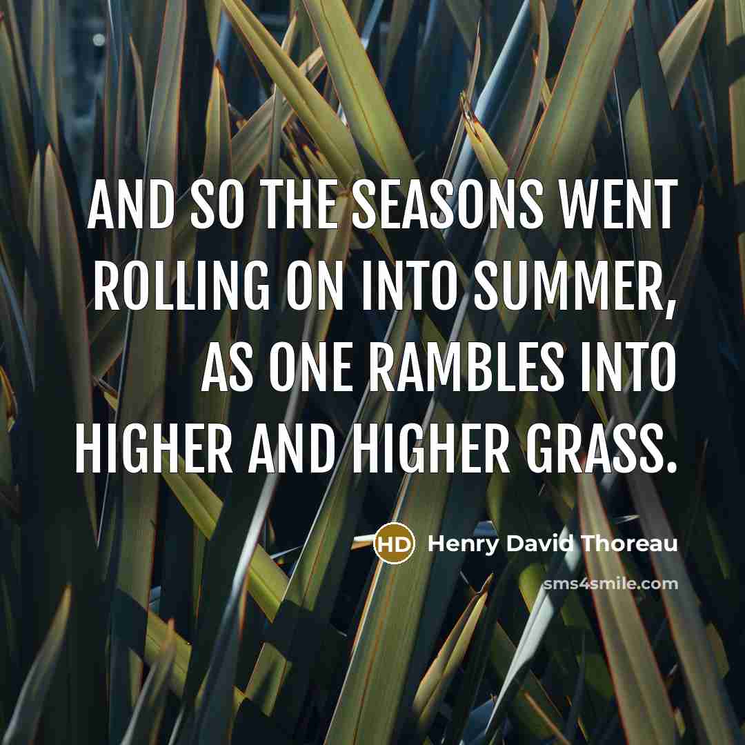 “And so the seasons went rolling on into summer, as one rambles into higher and higher grass.” quote by Henry David Thoreau