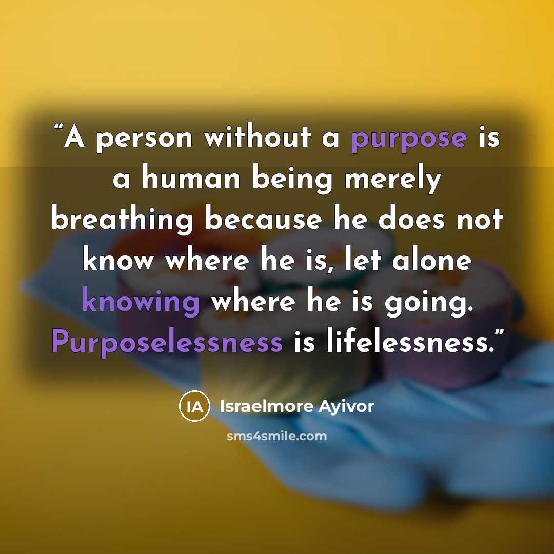 “A person without a purpose is a human being merely breathing because he does not know where he is, let alone knowing where he is going. Purposelessness is lifelessness.” quote by Israelmore Ayivor