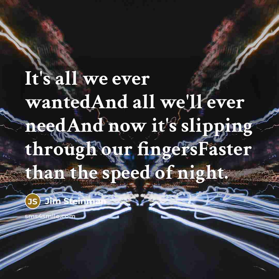 “It's all we ever wantedAnd all we'll ever needAnd now it's slipping through our fingersFaster than the speed of night.” quote by Jim Steinman