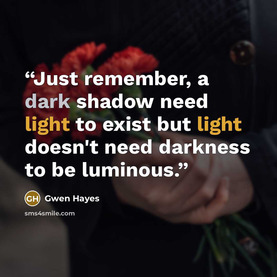 “Just remember, a dark shadow need light to exist but light doesn't need darkness to be luminous.” quote by Gwen Hayes