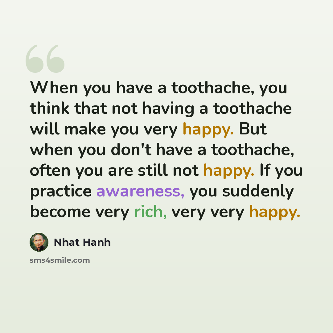“When you have a toothache, you think that not having a toothache will make you very happy. But when you don't have a toothache, often you are still not happy. If you practice awareness, you suddenly become very rich, very very happy.” quote by Nhat Hanh
