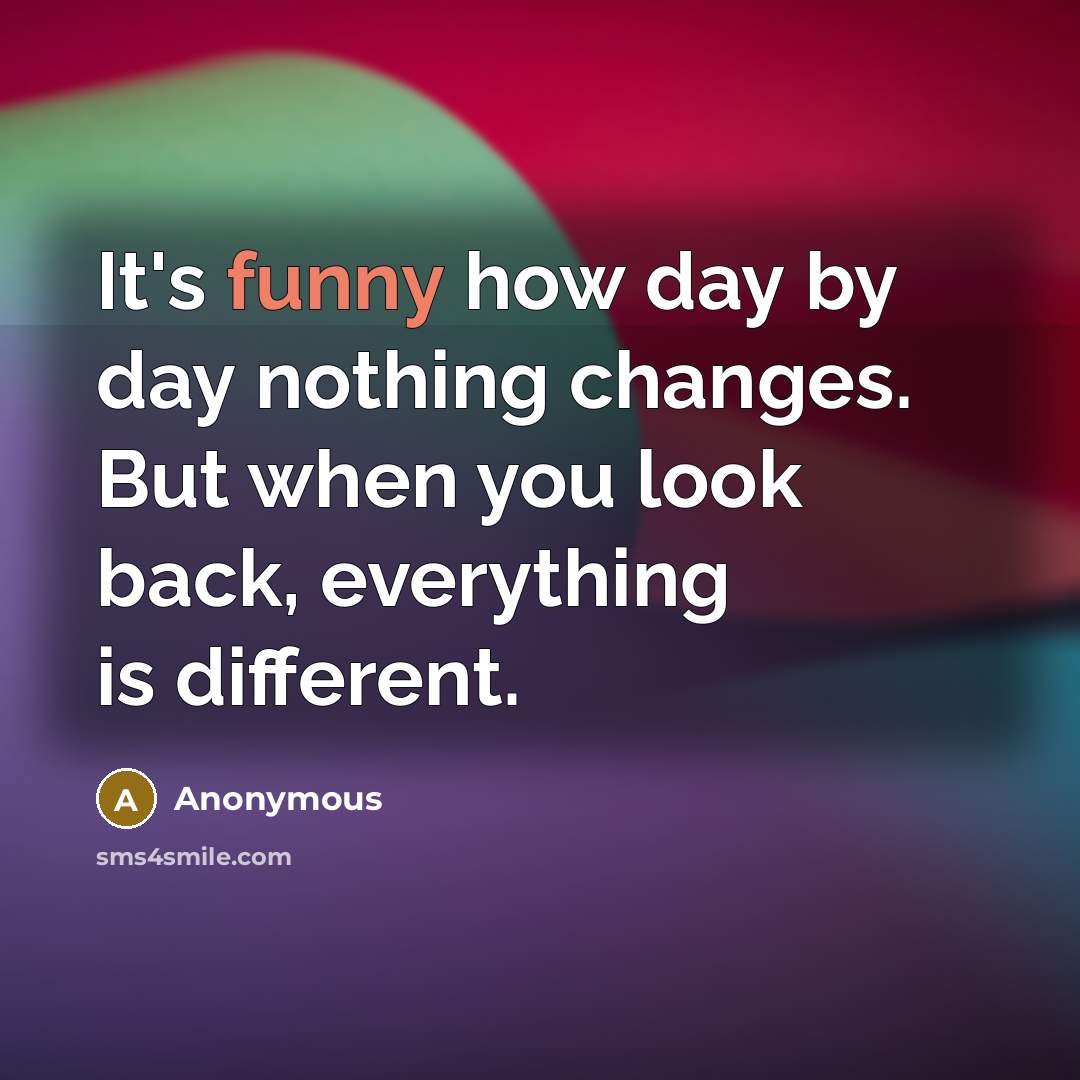“It's funny how day by day nothing changes. But when you look back, everything is different.” quote by Anonymous