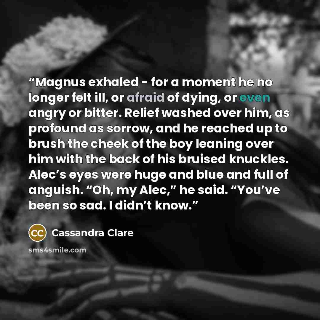 “Magnus exhaled - for a moment he no longer felt ill, or afraid of dying, or even angry or bitter. Relief washed over him, as profound as sorrow, and he reached up to brush the cheek of the boy leaning over him with the back of his bruised knuckles. Alec’s eyes were huge and blue and full of…” quote by Cassandra Clare