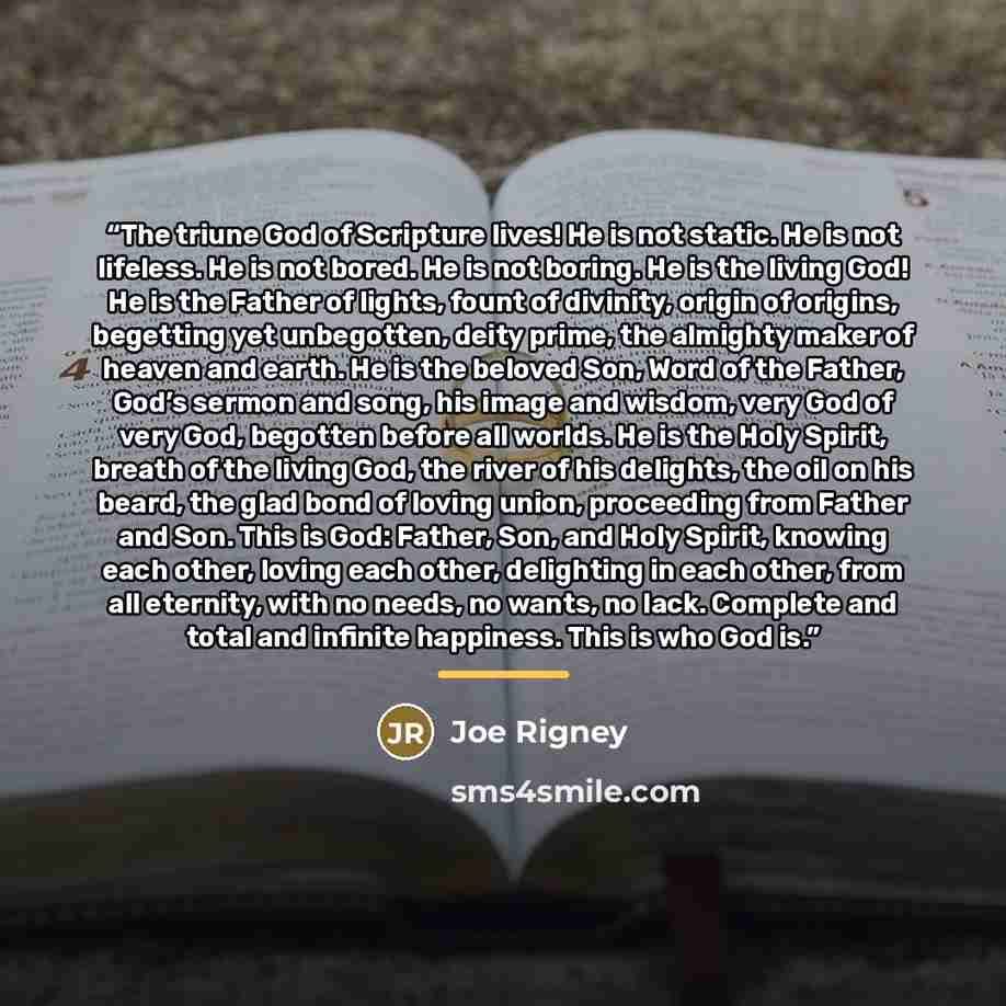 “The triune God of Scripture lives! He is not static. He is not lifeless. He is not bored. He is not boring. He is the living God! He is the Father of lights, fount of divinity, origin of origins, begetting yet unbegotten, deity prime, the almighty maker of heaven and earth. He is the beloved Son…” quote by Joe Rigney