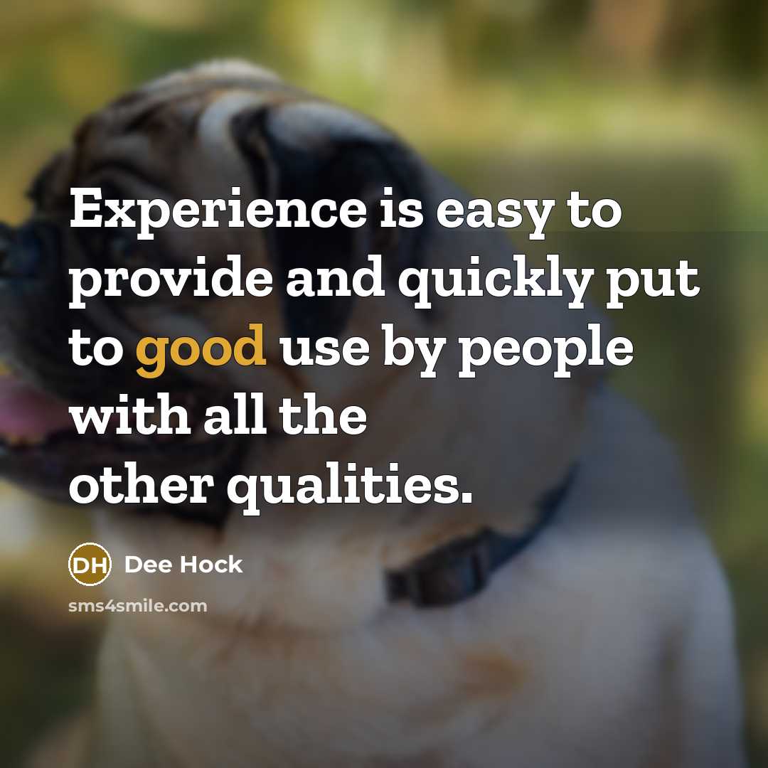 “Experience is easy to provide and quickly put to good use by people with all the other qualities.” quote by Dee Hock