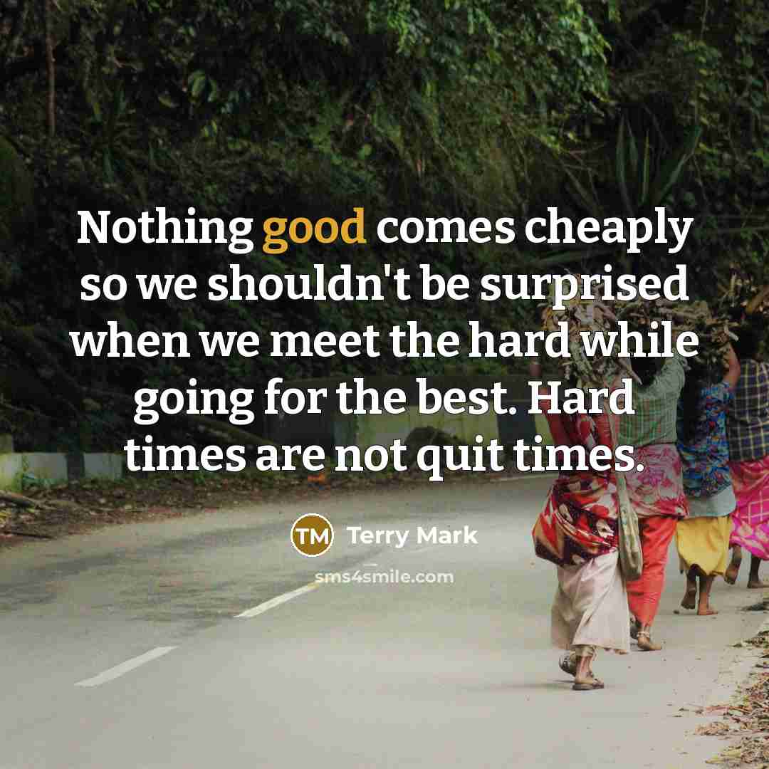 “Nothing good comes cheaply so we shouldn't be surprised when we meet the hard while going for the best. Hard times are not quit times.” quote by Terry Mark