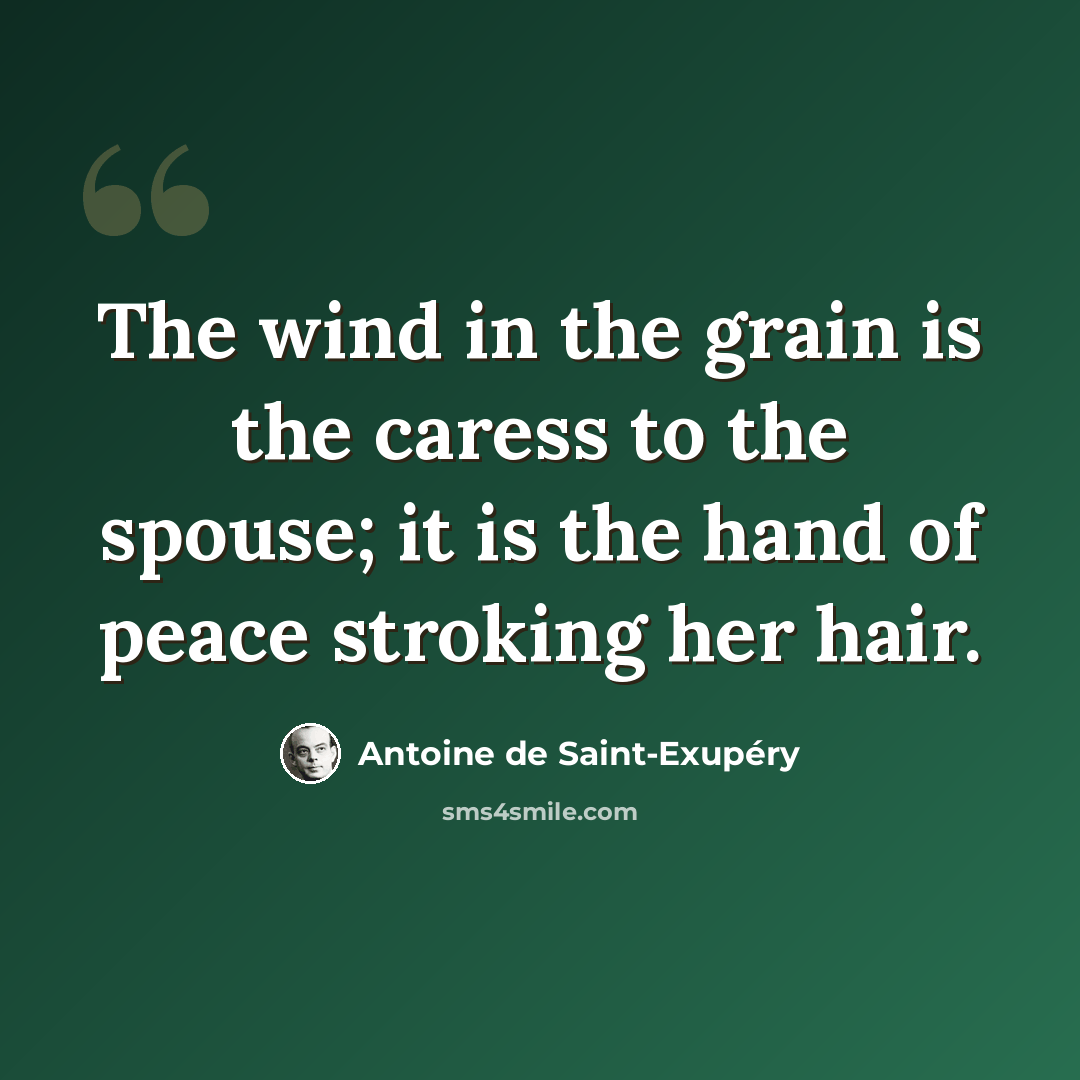 “The wind in the grain is the caress to the spouse; it is the hand of peace stroking her hair.” quote by Antoine de Saint-Exupery