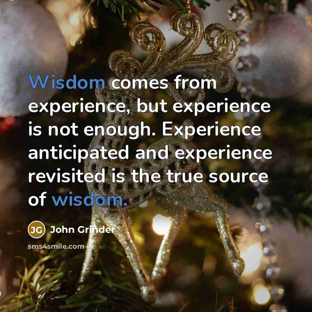 “Wisdom comes from experience, but experience is not enough. Experience anticipated and experience revisited is the true source of wisdom.” quote by John Grinder