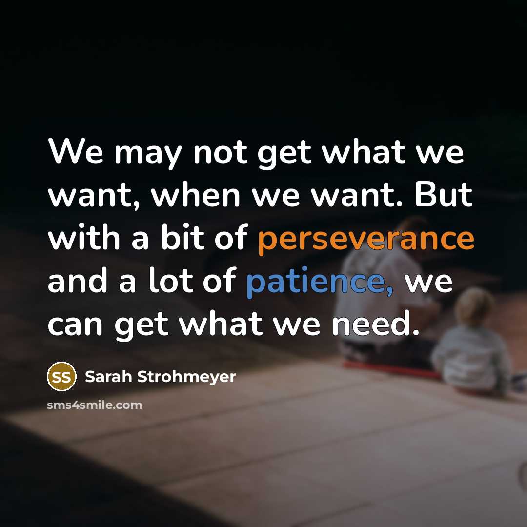 “We may not get what we want, when we want. But with a bit of perseverance and a lot of patience, we can get what we need.” quote by Sarah Strohmeyer