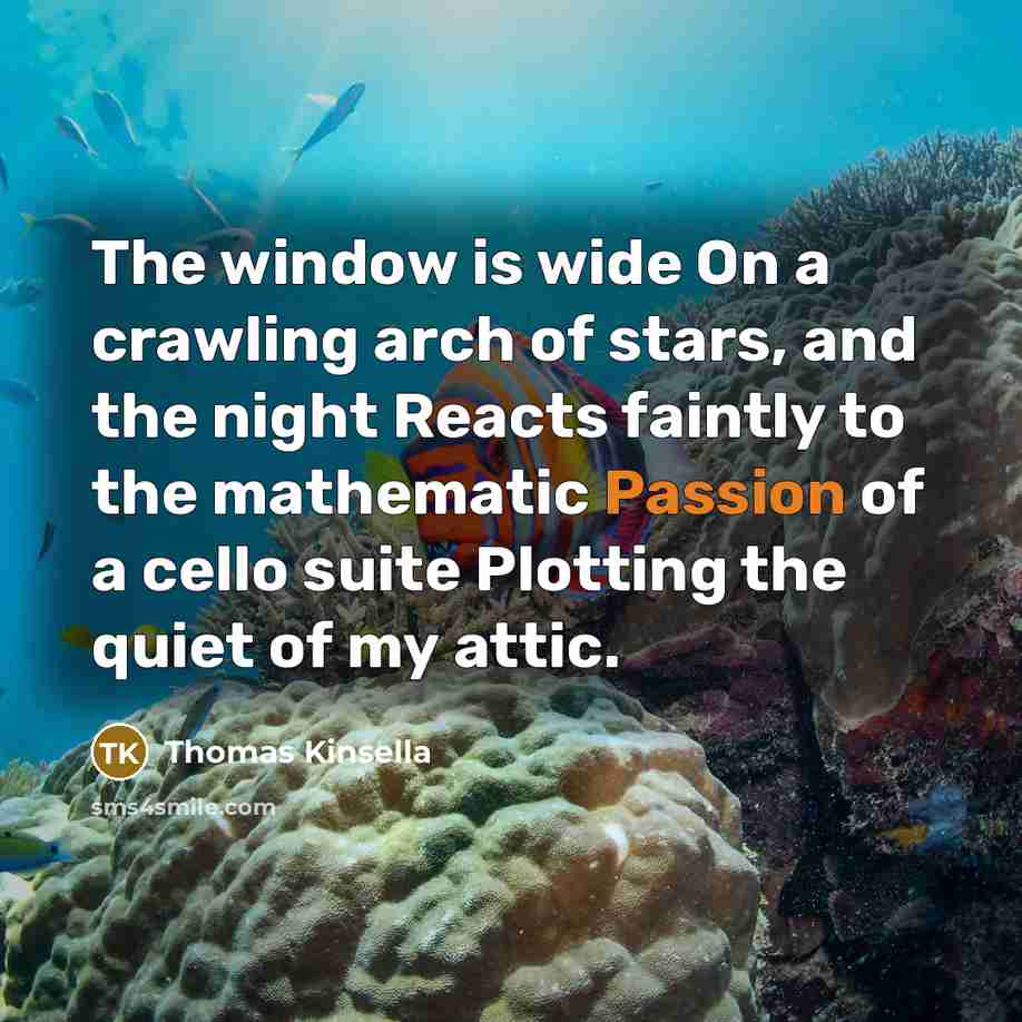“The window is wide On a crawling arch of stars, and the night Reacts faintly to the mathematic Passion of a cello suite Plotting the quiet of my attic.” quote by Thomas Kinsella