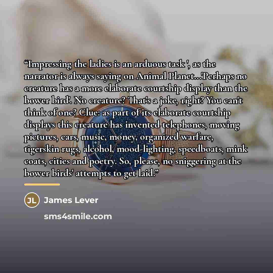 “Impressing the ladies is an arduous task ', as the narrator is always saying on Animal Planet...'Perhaps no creature has a more elaborate courtship display than the bower bird'. No creature? That's a joke, right? You can't think of one? Clue: as part of its elaborate courtship displays this…” quote by James Lever