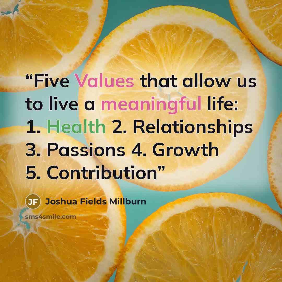 “Five Values that allow us to live a meaningful life: 1. Health 2. Relationships 3. Passions 4. Growth 5. Contribution” quote by Joshua Fields Millburn