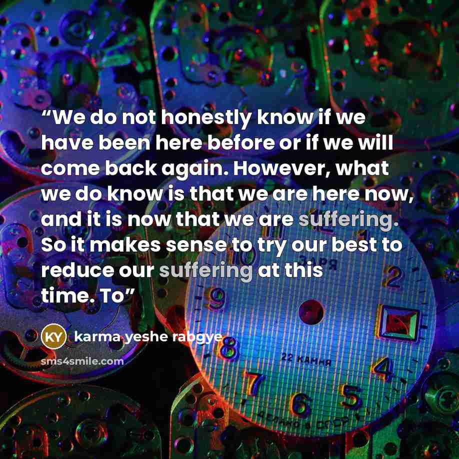 “We do not honestly know if we have been here before or if we will come back again. However, what we do know is that we are here now, and it is now that we are suffering. So it makes sense to try our best to reduce our suffering at this time. To” quote by karma yeshe rabgye