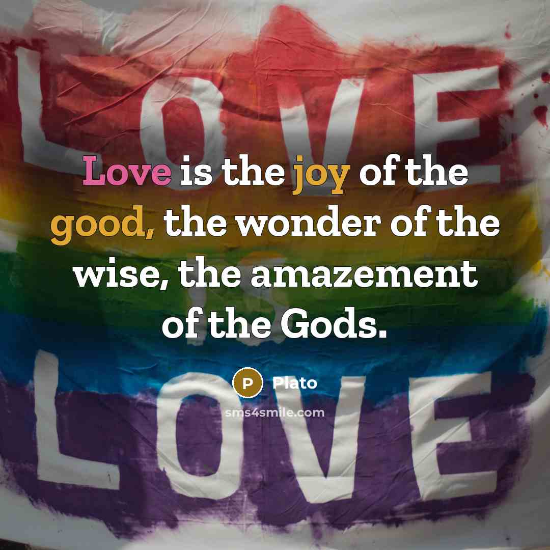 “Love is the joy of the good, the wonder of the wise, the amazement of the Gods.” quote by Plato