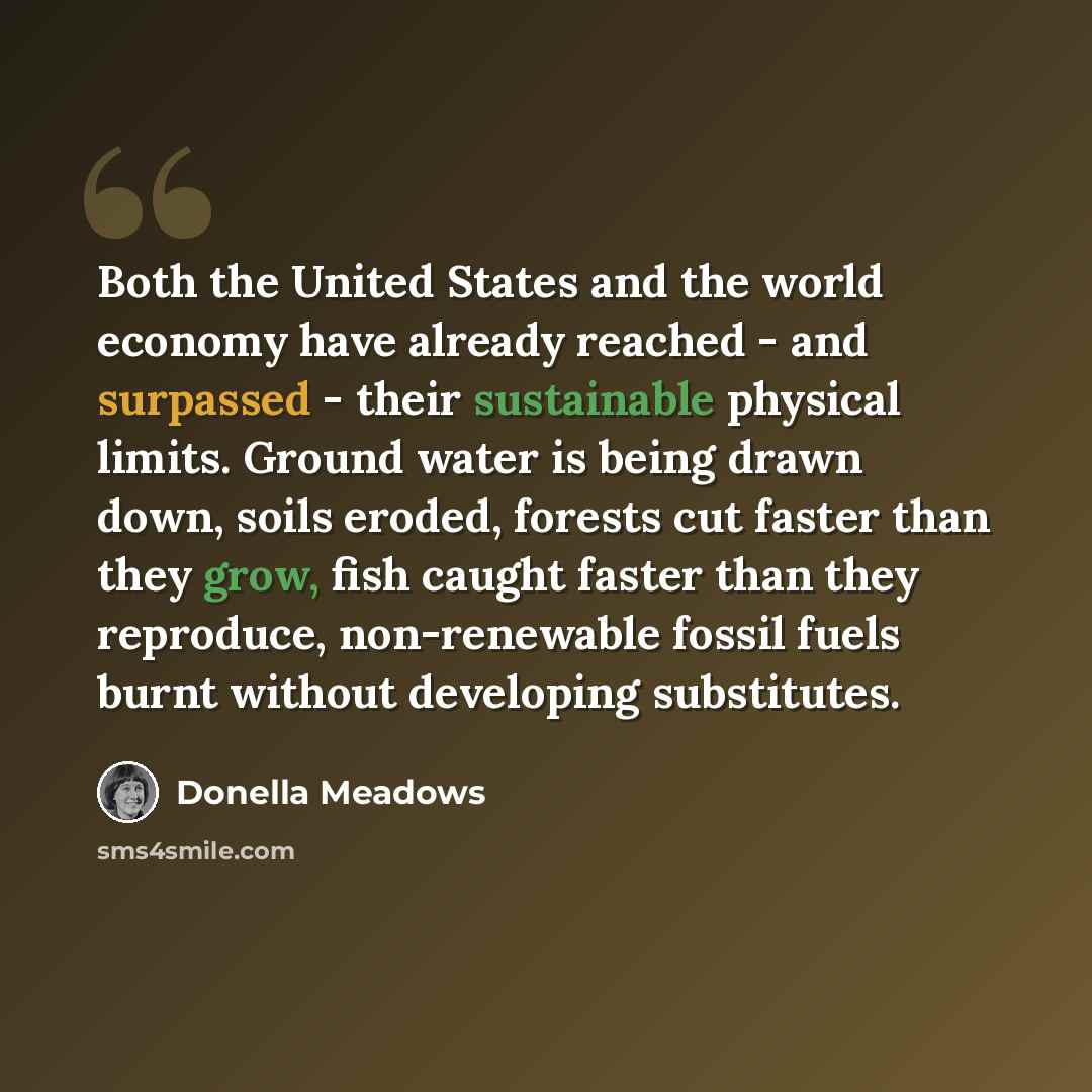 “Both the United States and the world economy have already reached - and surpassed - their sustainable physical limits. Ground water is being drawn down, soils eroded, forests cut faster than they grow, fish caught faster than they reproduce, non-renewable fossil fuels burnt without developing…” quote by Donella Meadows
