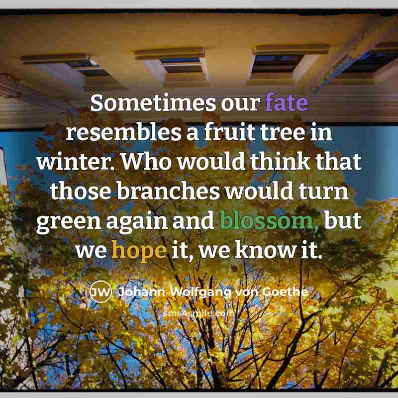 “Sometimes our fate resembles a fruit tree in winter. Who would think that those branches would turn green again and blossom, but we hope it, we know it.” quote by Johann Wolfgang von Goethe