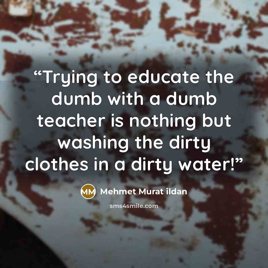 “Trying to educate the dumb with a dumb teacher is nothing but washing the dirty clothes in a dirty water!” quote by Mehmet Murat ildan
