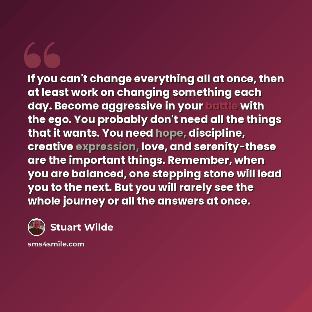 “If you can't change everything all at once, then at least work on changing something each day. Become aggressive in your battle with the ego. You probably don't need all the things that it wants. You need hope, discipline, creative expression, love, and serenity-these are the important things…” quote by Stuart Wilde