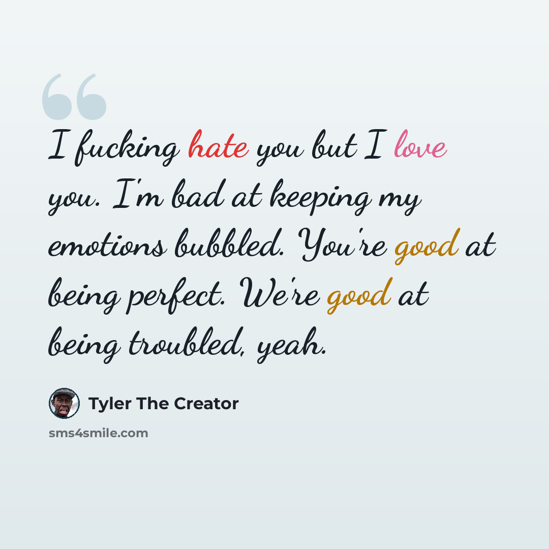 “I fucking hate you but I love you. I'm bad at keeping my emotions bubbled. You're good at being perfect. We're good at being troubled, yeah.” quote by Tyler The Creator