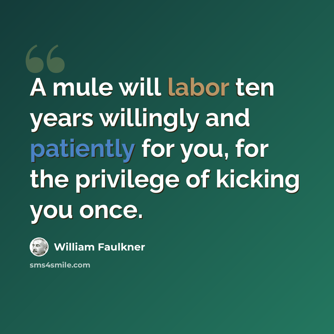 “A mule will labor ten years willingly and patiently for you, for the privilege of kicking you once.” quote by William Faulkner