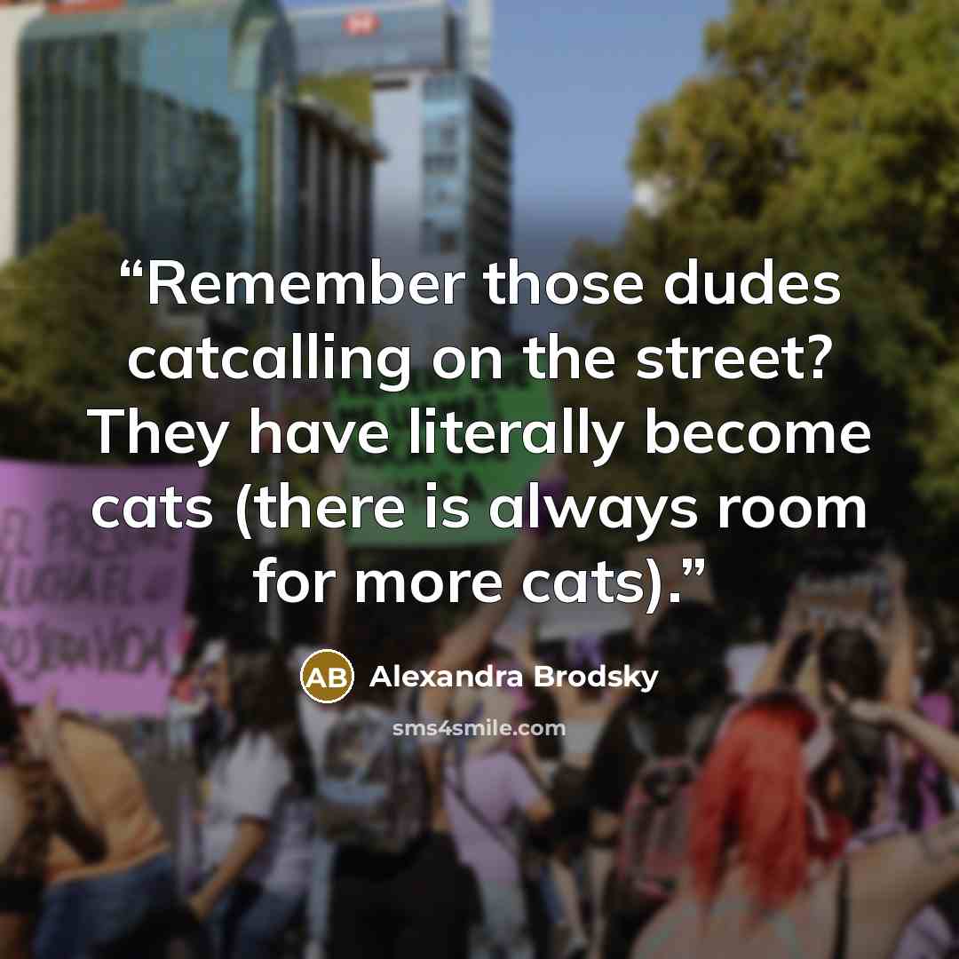“Remember those dudes catcalling on the street? They have literally become cats (there is always room for more cats).” quote by Alexandra Brodsky