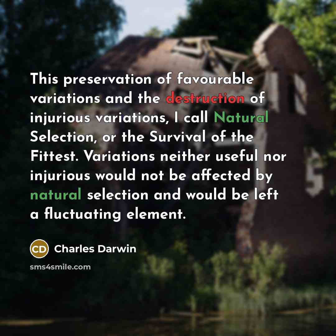 “This preservation of favourable variations and the destruction of injurious variations, I call Natural Selection, or the Survival of the Fittest. Variations neither useful nor injurious would not be affected by natural selection and would be left a fluctuating element.” quote by Charles Darwin