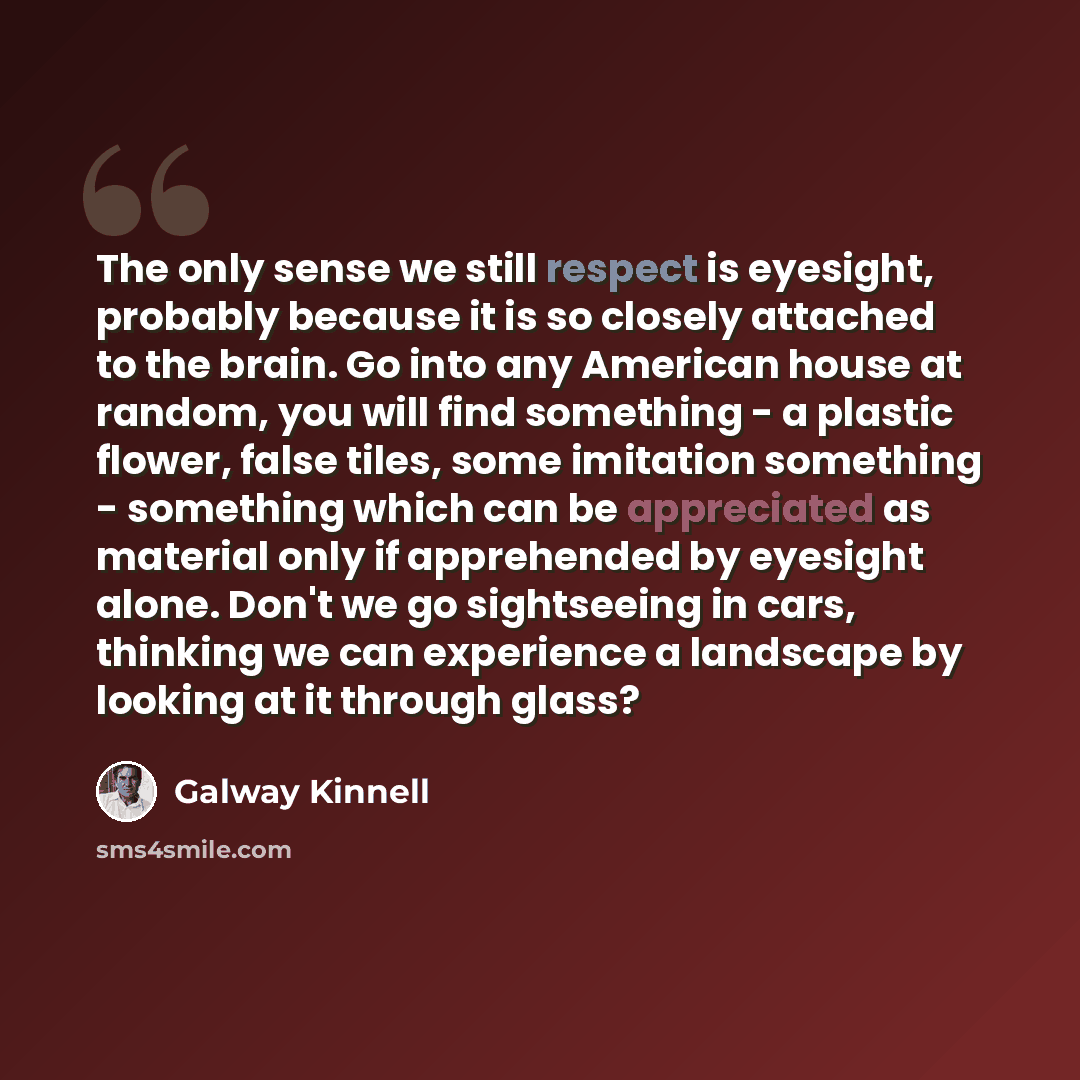 “The only sense we still respect is eyesight, probably because it is so closely attached to the brain. Go into any American house at random, you will find something - a plastic flower, false tiles, some imitation something - something which can be appreciated as material only if apprehended by…” quote by Galway Kinnell