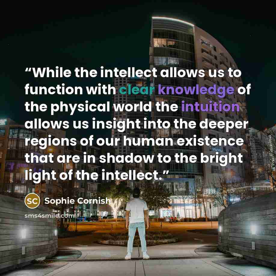 “While the intellect allows us to function with clear knowledge of the physical world the intuition allows us insight into the deeper regions of our human existence that are in shadow to the bright light of the intellect.” quote by Sophie Cornish