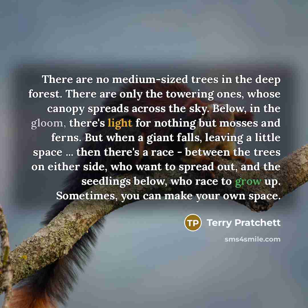 “There are no medium-sized trees in the deep forest. There are only the towering ones, whose canopy spreads across the sky. Below, in the gloom, there's light for nothing but mosses and ferns. But when a giant falls, leaving a little space ... then there's a race - between the trees on either side…” quote by Terry Pratchett