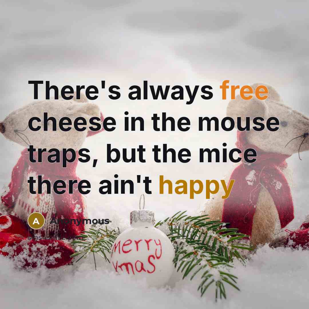 “There's always free cheese in the mouse traps, but the mice there ain't happy” quote by Anonymous