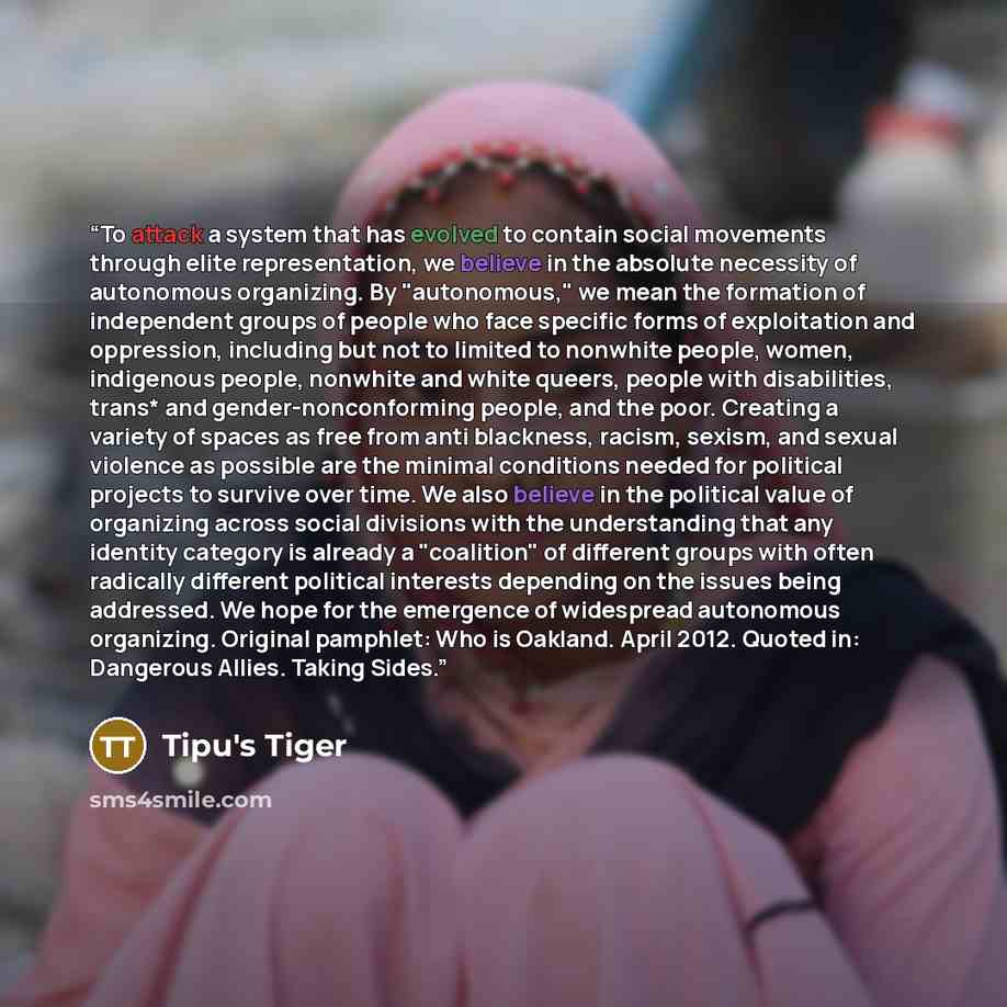“To attack a system that has evolved to contain social movements through elite representation, we believe in the absolute necessity of autonomous organizing. By "autonomous," we mean the formation of independent groups of people who face specific forms of exploitation and oppression, including but…” quote by Tipu's Tiger