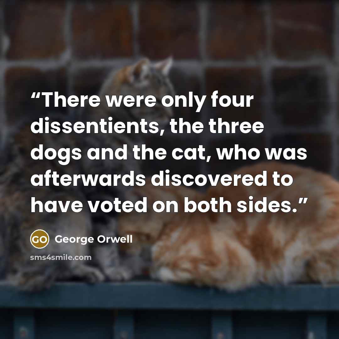“There were only four dissentients, the three dogs and the cat, who was afterwards discovered to have voted on both sides.” quote by George Orwell