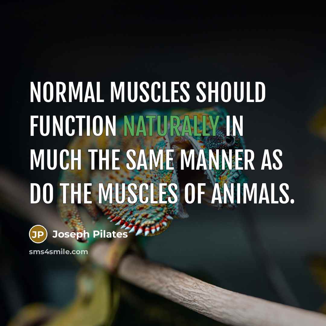 “Normal muscles should function naturally in much the same manner as do the muscles of animals.” quote by Joseph Pilates