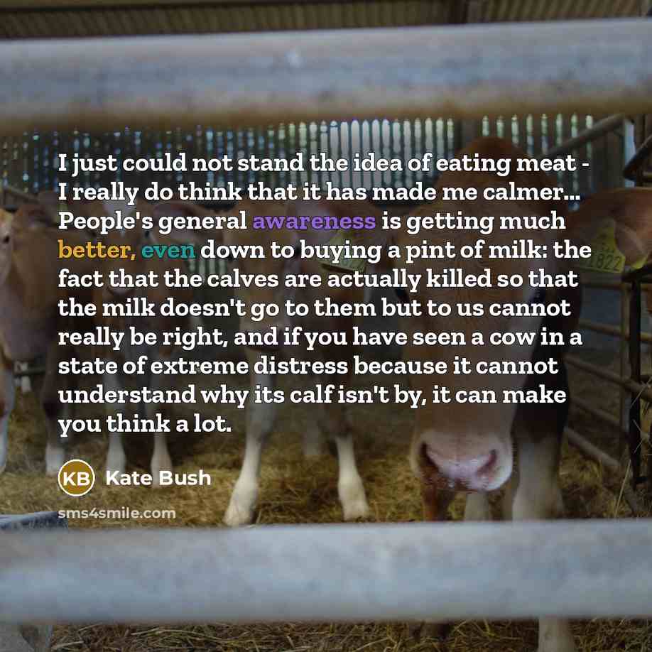 “I just could not stand the idea of eating meat - I really do think that it has made me calmer… People's general awareness is getting much better, even down to buying a pint of milk: the fact that the calves are actually killed so that the milk doesn't go to them but to us cannot really be right…” quote by Kate Bush