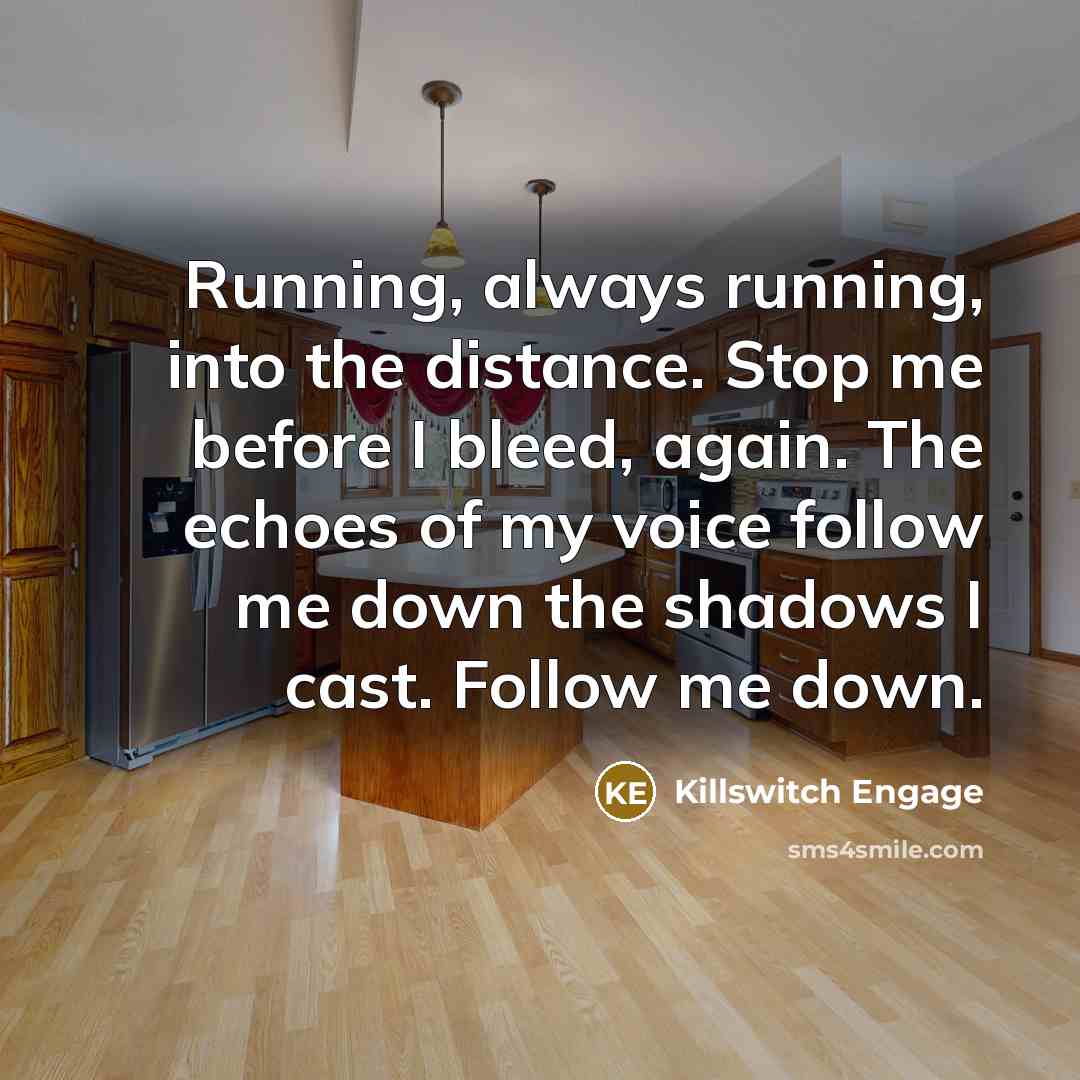 “Running, always running, into the distance. Stop me before I bleed, again. The echoes of my voice follow me down the shadows I cast. Follow me down.” quote by Killswitch Engage