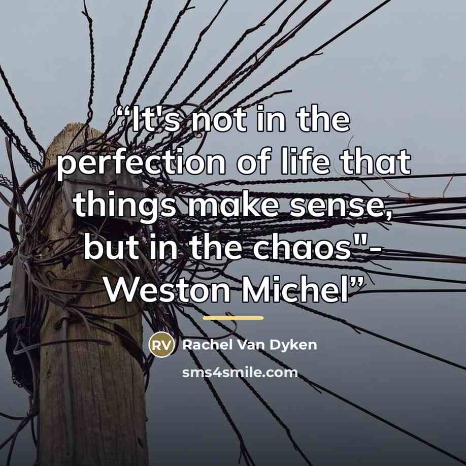 “It's not in the perfection of life that things make sense, but in the chaos"- Weston Michel” quote by Rachel Van Dyken