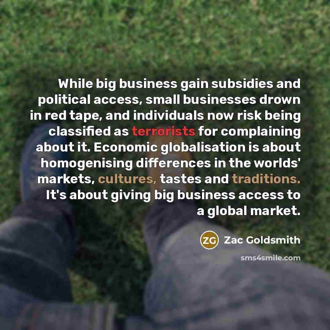 “While big business gain subsidies and political access, small businesses drown in red tape, and individuals now risk being classified as terrorists for complaining about it. Economic globalisation is about homogenising differences in the worlds' markets, cultures, tastes and traditions. It's about…” quote by Zac Goldsmith