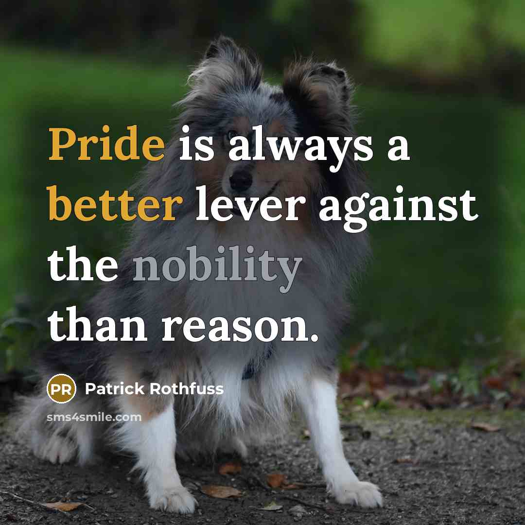 “Pride is always a better lever against the nobility than reason.” quote by Patrick Rothfuss