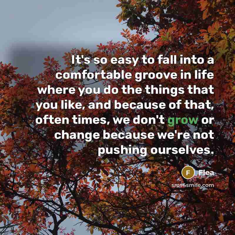 “It's so easy to fall into a comfortable groove in life where you do the things that you like, and because of that, often times, we don't grow or change because we're not pushing ourselves.” quote by Flea