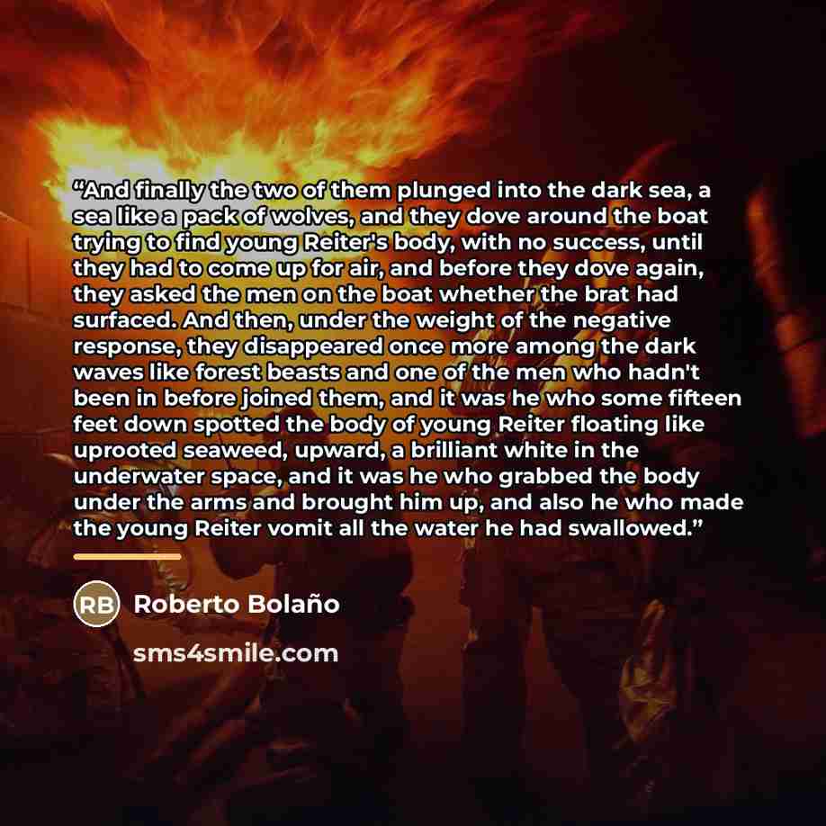 “And finally the two of them plunged into the dark sea, a sea like a pack of wolves, and they dove around the boat trying to find young Reiter's body, with no success, until they had to come up for air, and before they dove again, they asked the men on the boat whether the brat had surfaced. And…” quote by Roberto Bolaño