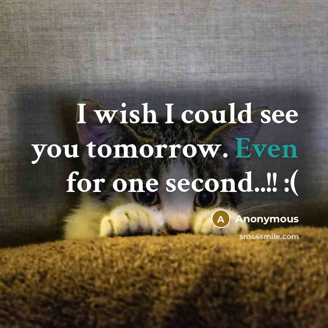 “I wish I could see you tomorrow. Even for one second..!! :(” quote by Anonymous