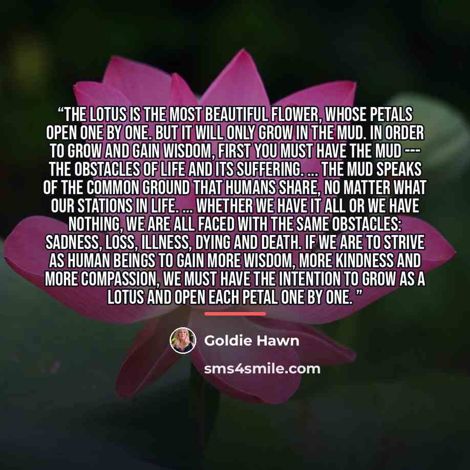 “The lotus is the most beautiful flower, whose petals open one by one. But it will only grow in the mud. In order to grow and gain wisdom, first you must have the mud --- the obstacles of life and its suffering. ... The mud speaks of the common ground that humans share, no matter what our stations…” quote by Goldie Hawn