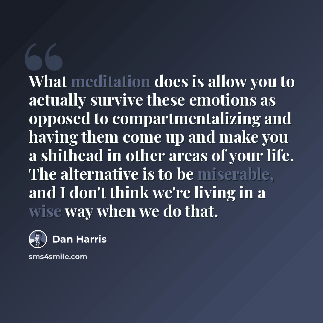 “What meditation does is allow you to actually survive these emotions as opposed to compartmentalizing and having them come up and make you a shithead in other areas of your life. The alternative is to be miserable, and I don't think we're living in a wise way when we do that.” quote by Dan Harris