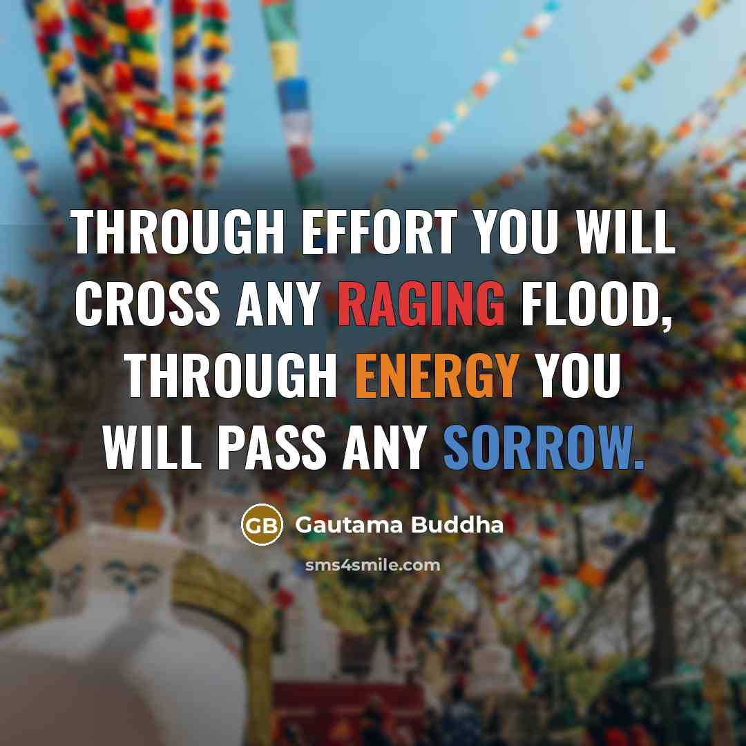 “Through effort you will cross any raging flood, through energy you will pass any sorrow.” quote by Gautama Buddha