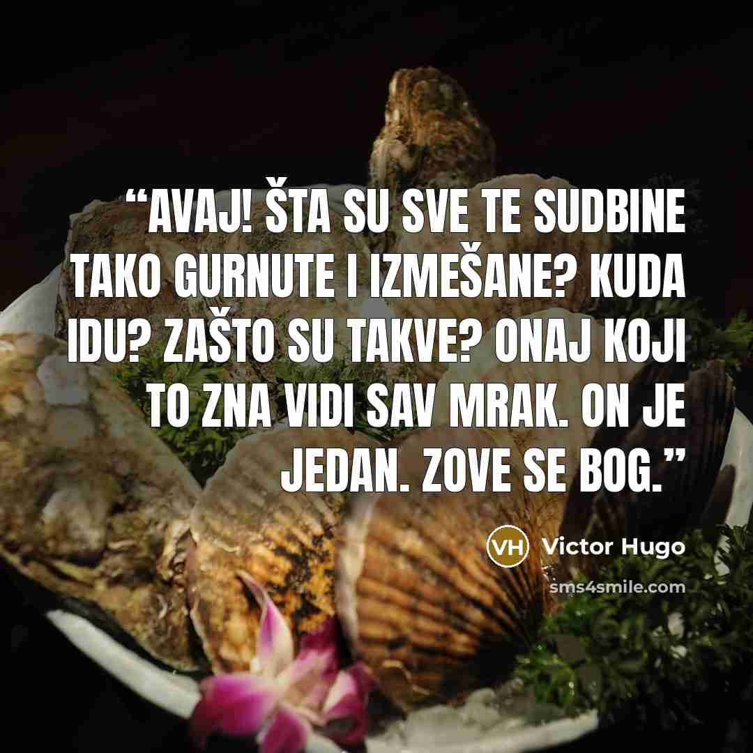 “Avaj! Šta su sve te sudbine tako gurnute i izmešane? Kuda idu? Zašto su takve? Onaj koji to zna vidi sav mrak. On je jedan. Zove se bog.” quote by Victor Hugo